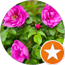 Edyta Centeno profile picture